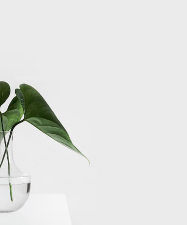 podcast episode number 3